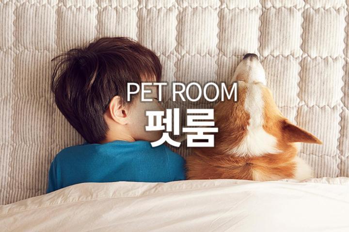 [Pet Friendly] Superior Double Room No no-cooking,1406449910:JPEG