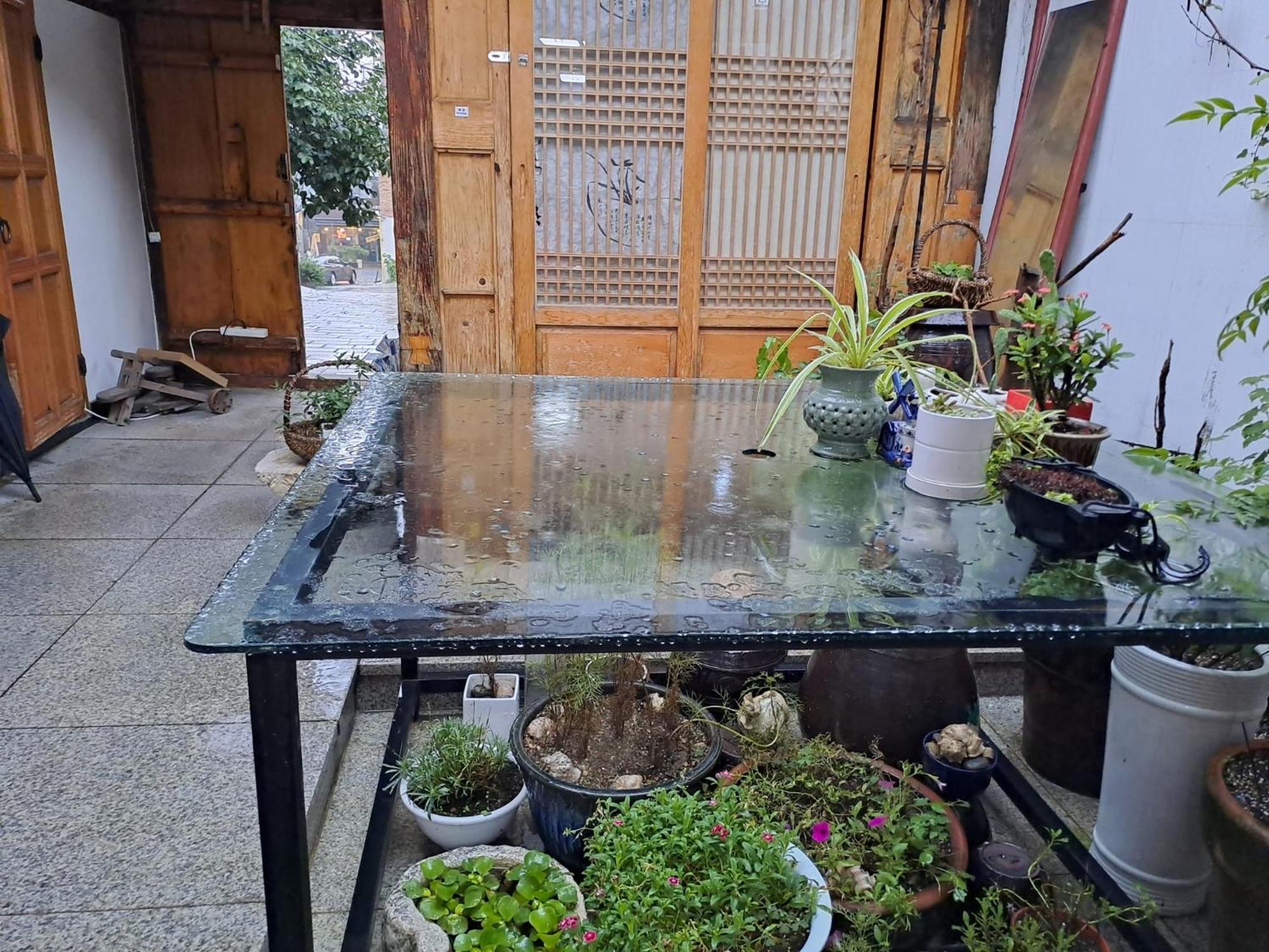 Korean-Style Single Room