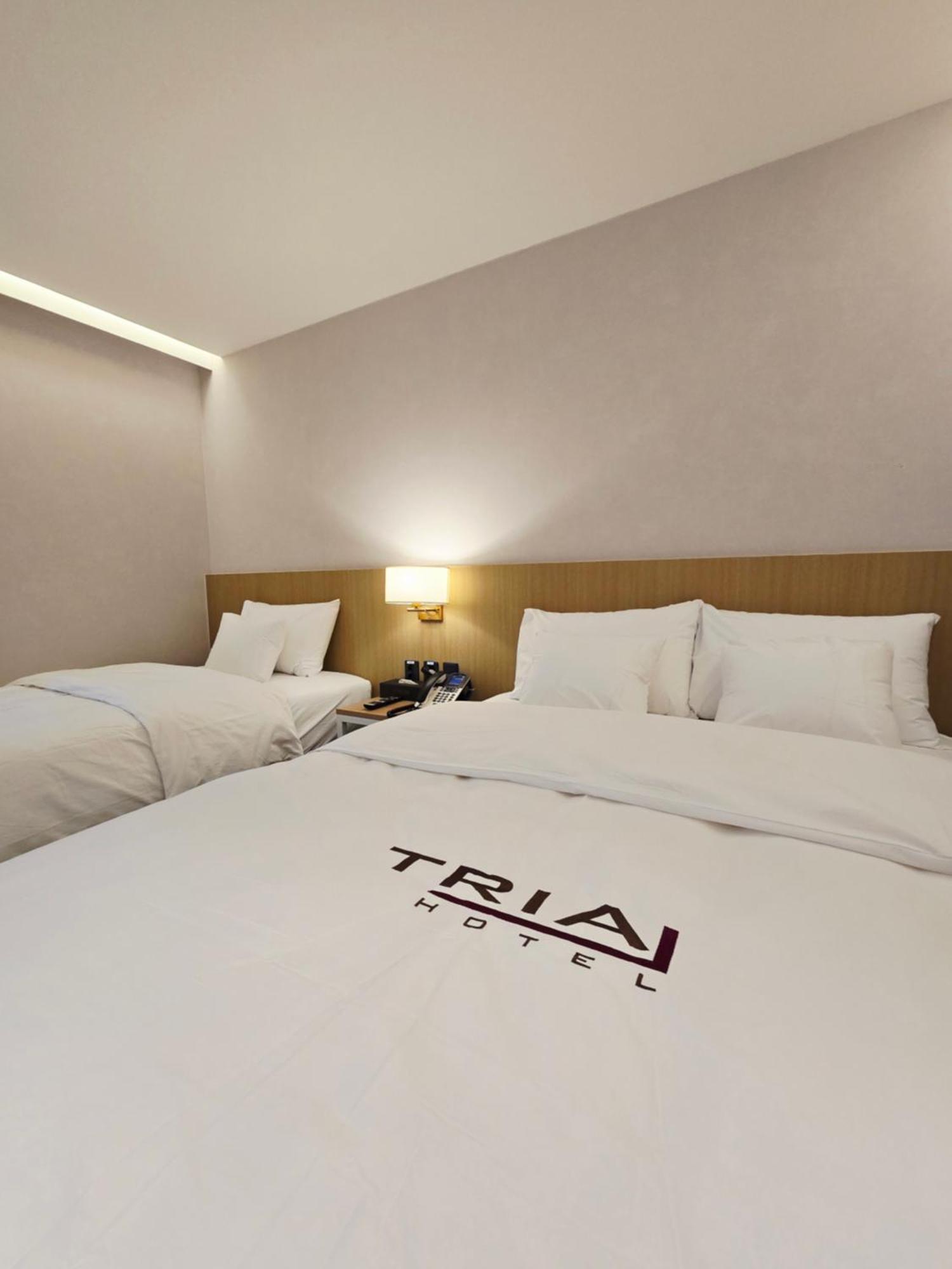 Premier Twin Room