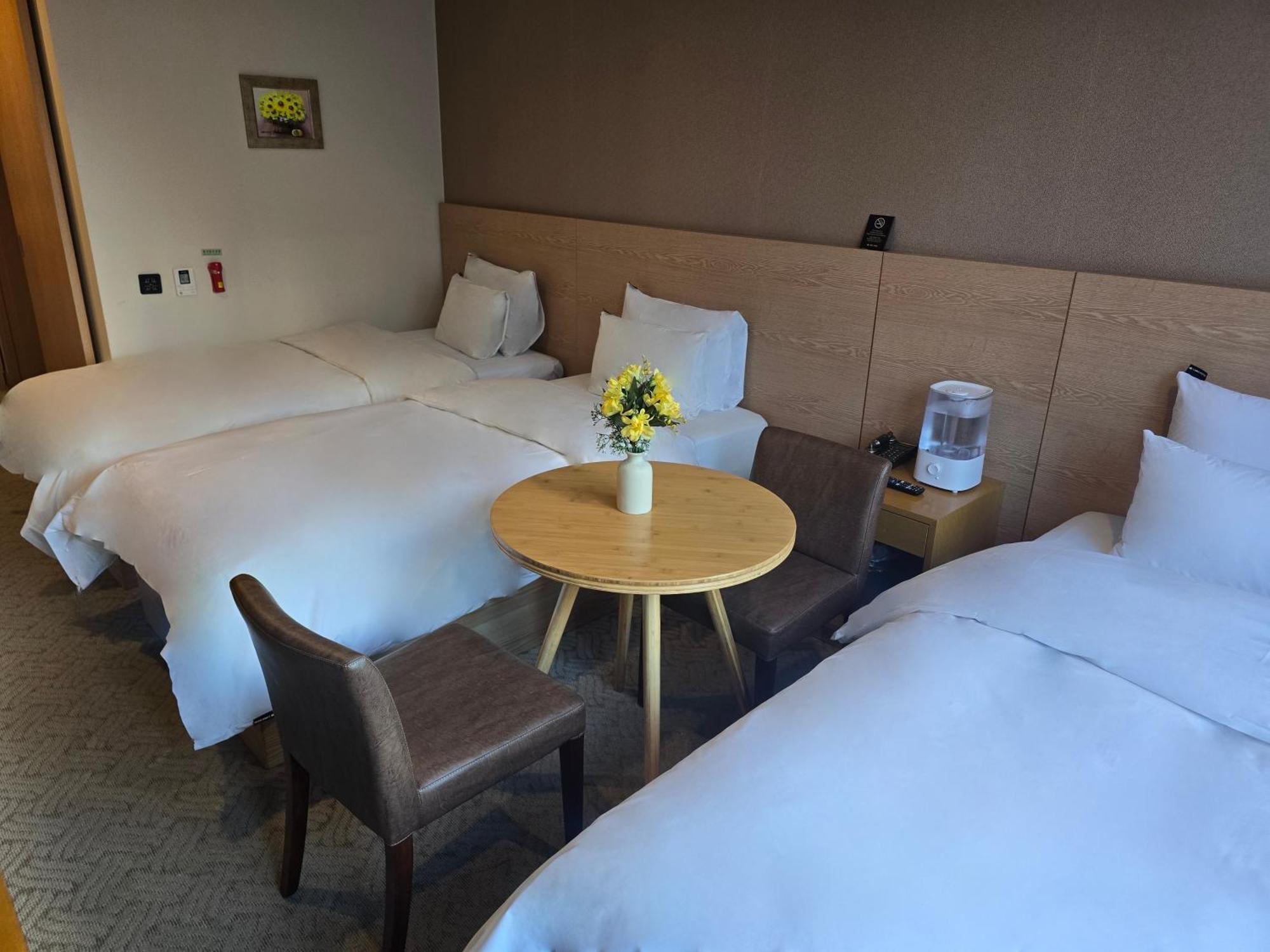 Triple Room,1743128580:JPEG