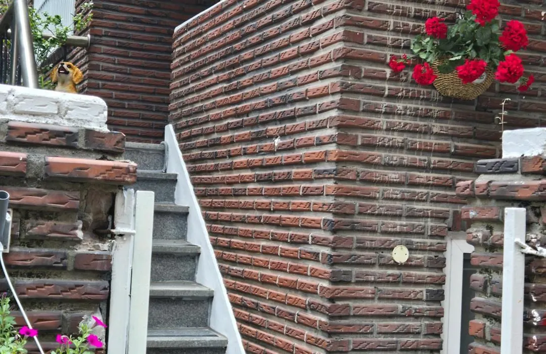Women -Only Guesthouse For Foreigners-Sophie House-1