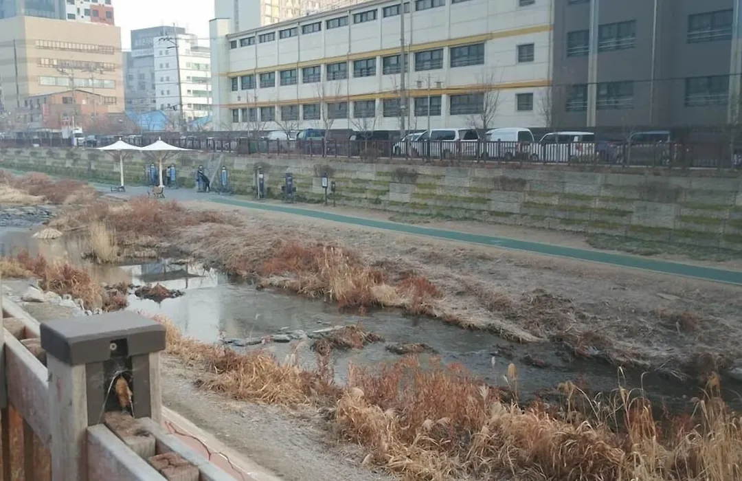 Dongdaemun Neighbors-1