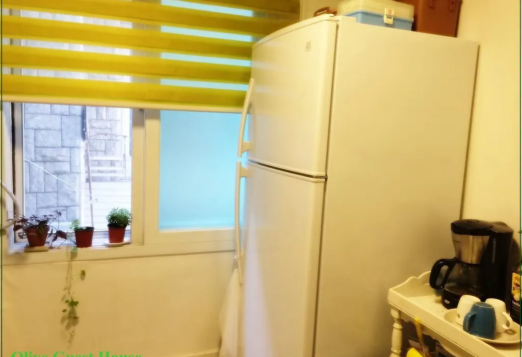 Hongdae Olive Guesthouse-1