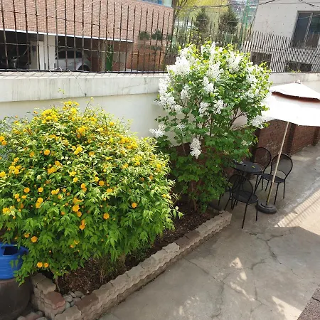 Oh My Guesthouse-3