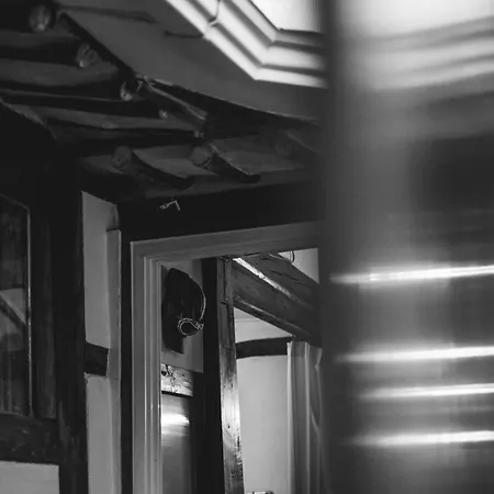 Viva La Vida - Jongno Hanok Private House-3