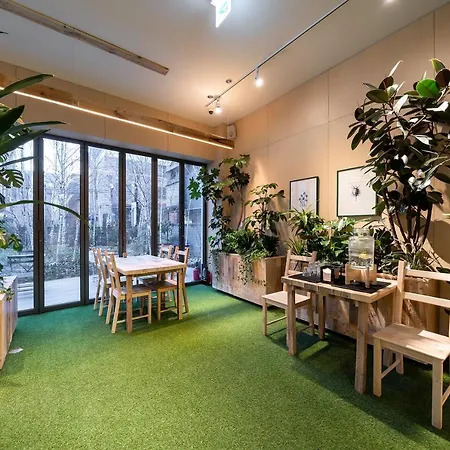 Boree Hotel Gangnam-3
