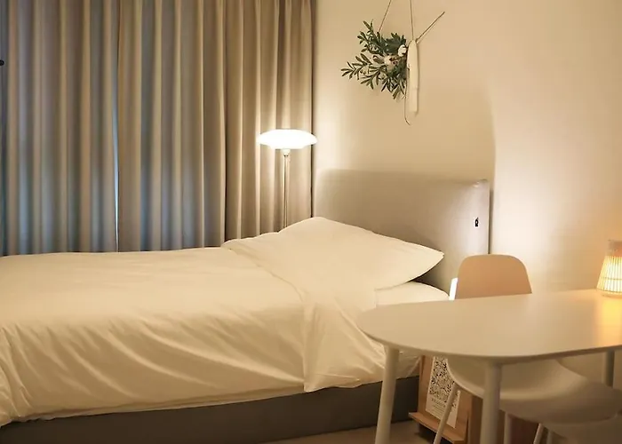 Wecostay Myeongdong B_5 Seúl admite animales